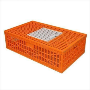 Poultry Equipment | Cage